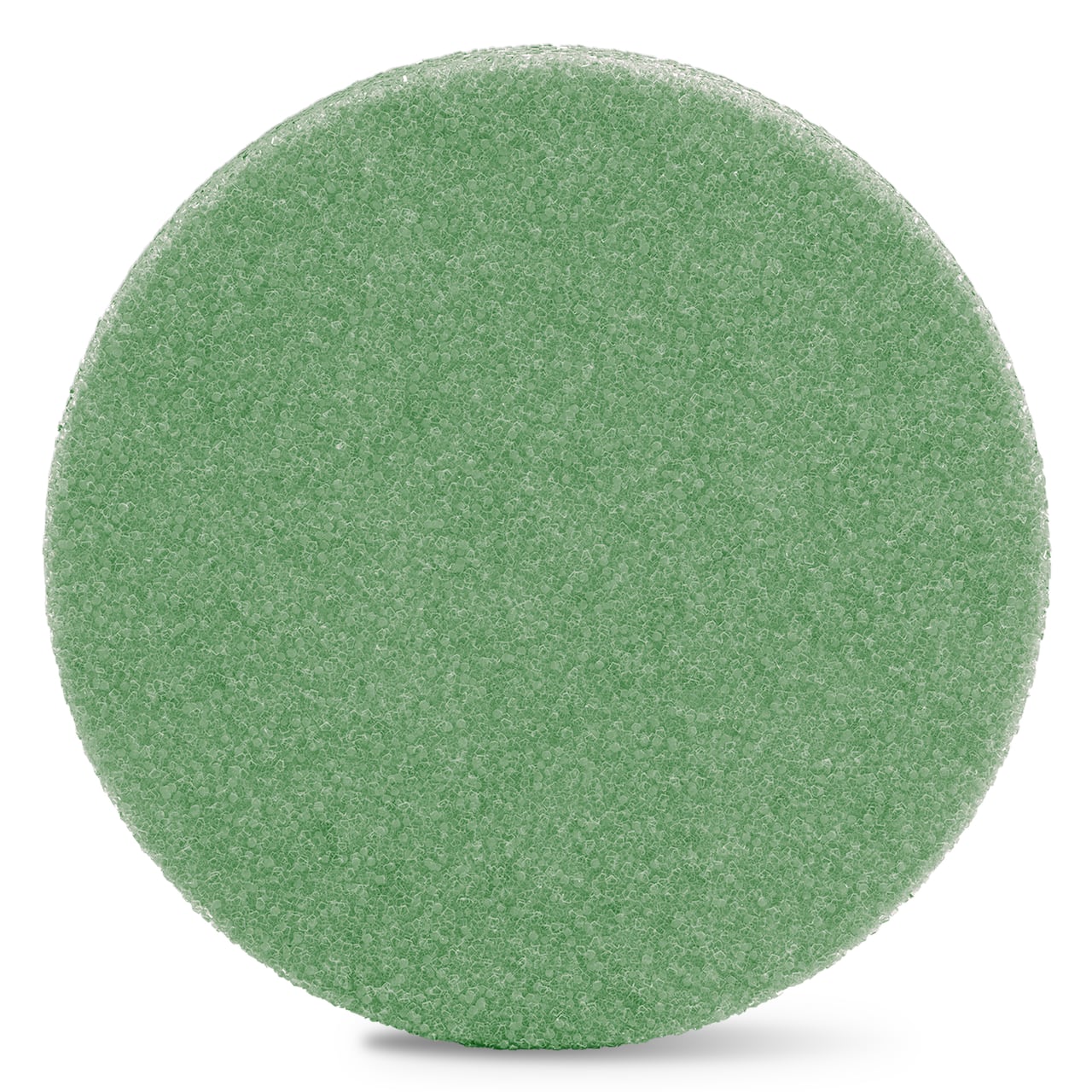 24 Pack: FloraCraft® FloraFōM® 6" Green Foam Disc